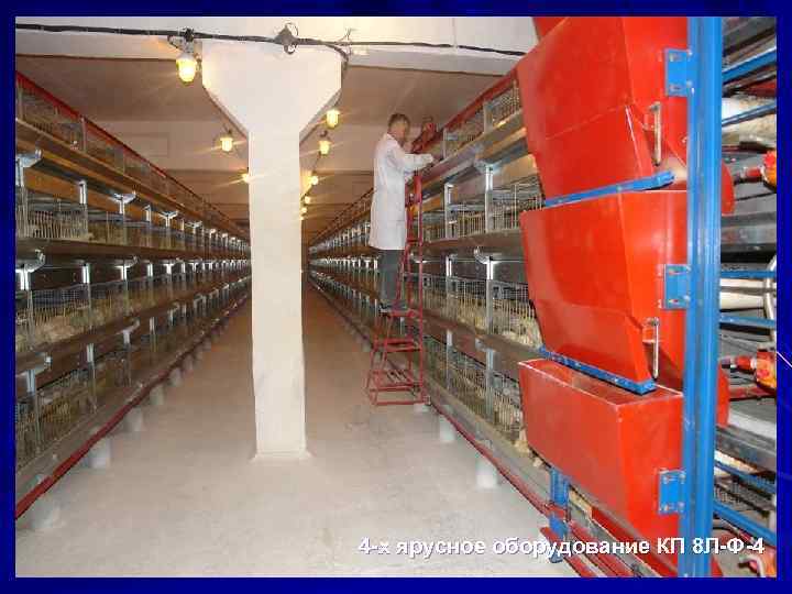 4 х ярусное оборудование КП 8 Л Ф 4 