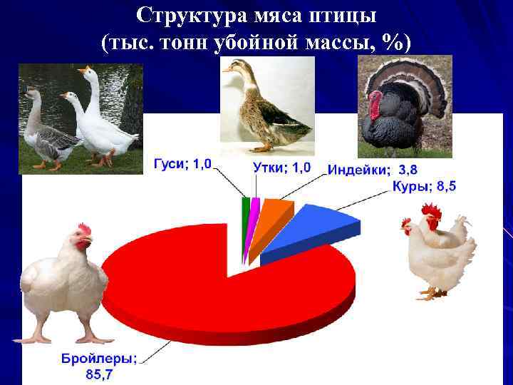 Структура мяса птицы (тыс. тонн убойной массы, %) 