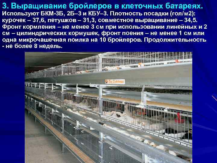 3. Выращивание бройлеров в клеточных батареях. Используют БКМ 3 Б, 2 Б– 3 и