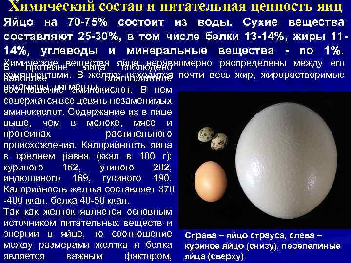 Состав 1 яйца. Химический состав и питательная ценность яйца. Химический состав и пищевая ценность яиц. Ценность яйца куриного. Химический состав пищевых яиц.