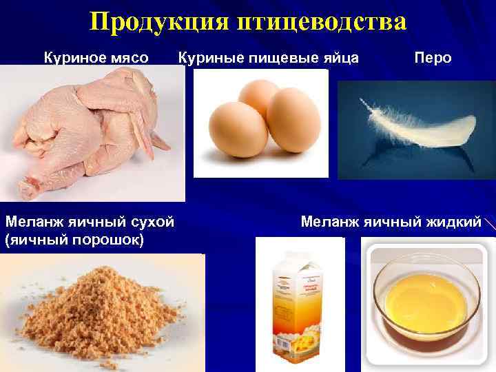 Продукция птицеводства Куриное мясо Куриные пищевые яйца Перо Меланж яичный сухой Меланж яичный жидкий