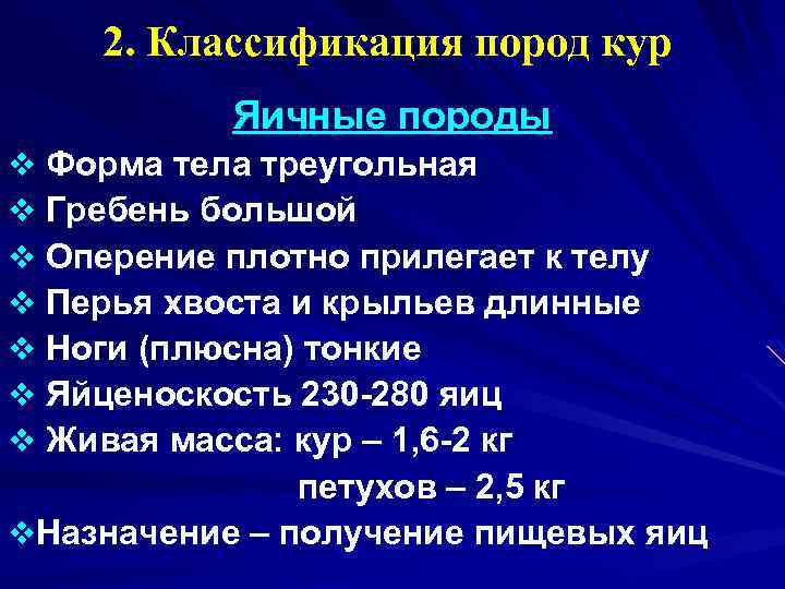 2. Классификация пород кур Яичные породы v Форма тела треугольная v Гребень большой v