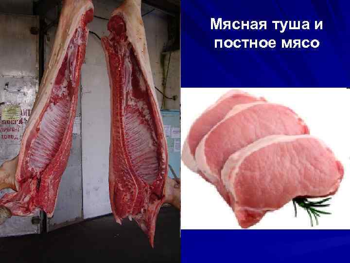 Мясная туша и постное мясо 
