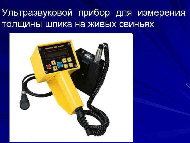 Ультразвуковой прибор для измерения толщины шпика на живых свиньях 