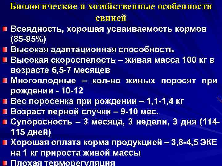 Биологические и хозяйственные особенности свиней Всеядность, хорошая усваиваемость кормов (85 -95%) Высокая адаптационная способность