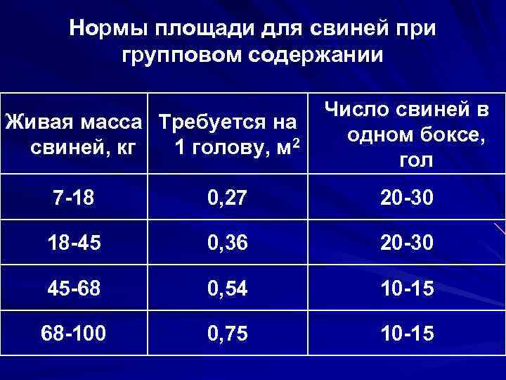 Нормы квадратных. Норма площади для свиней. Нормы площади содержания свиней. Нормы содержания поросят. Норма метража для содержания свиньи.