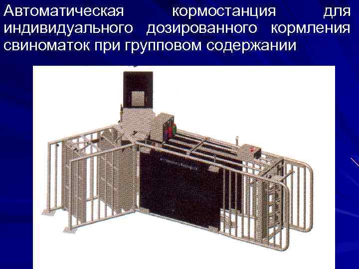 Автоматическая кормостанция для индивидуального дозированного кормления свиноматок при групповом содержании 
