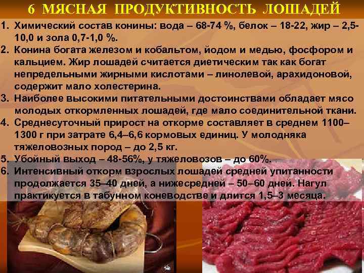 6 МЯСНАЯ ПРОДУКТИВНОСТЬ ЛОШАДЕЙ 1. Химический состав конины: вода – 68 -74 %, белок
