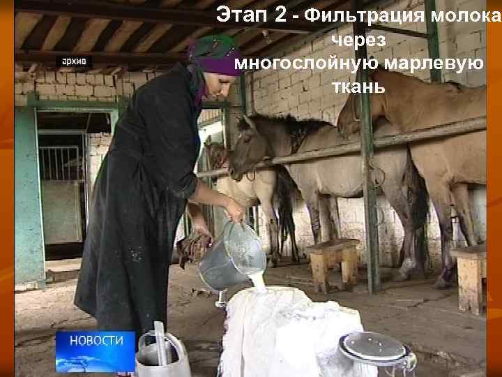 Этап 2 - Фильтрация молока через многослойную марлевую ткань 