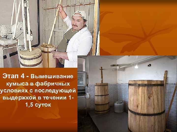 Этап 4 - Вымешивание кумыса в фабричных условиях с последующей выдержкой в течении 11,