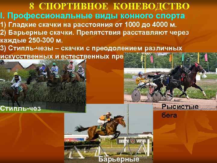 8 СПОРТИВНОЕ КОНЕВОДСТВО I. Профессиональные виды конного спорта 1) Гладкие скачки на расстояния от