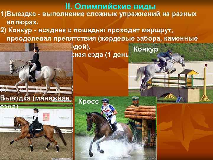 II. Олимпийские виды 1)Выездка - выполнение сложных упражнений на разных аллюрах. 2) Конкур -