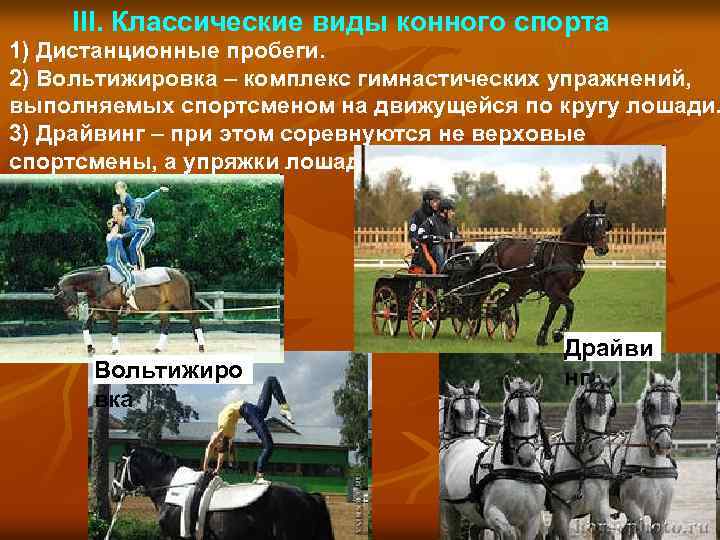 III. Классические виды конного спорта 1) Дистанционные пробеги. 2) Вольтижировка – комплекс гимнастических упражнений,