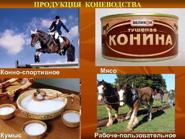 ПРОДУКЦИЯ КОНЕВОДСТВА Конно-спортивное Кумыс Мясо Рабоче-пользовательное 
