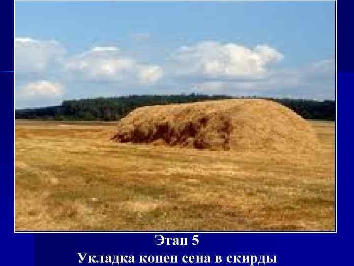 Этап 5 Укладка копен сена в скирды 