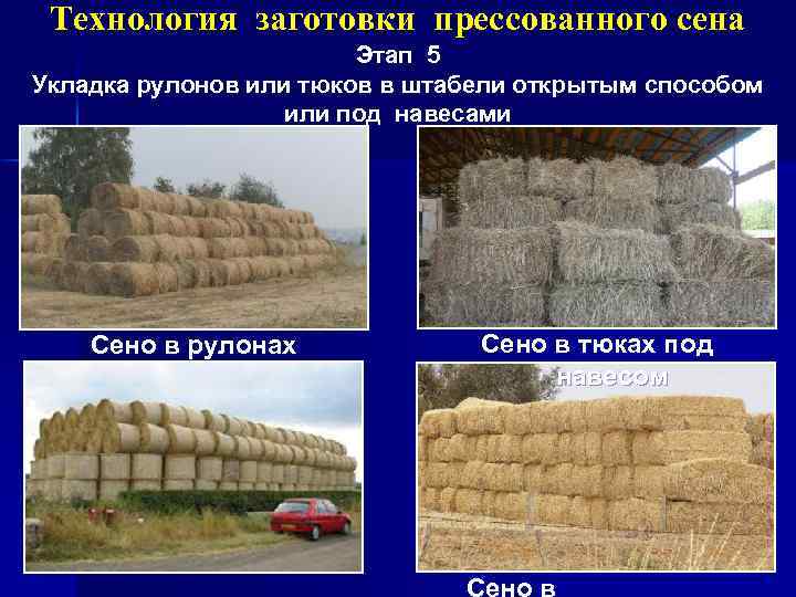 Технология заготовки прессованного сена Этап 5 Укладка рулонов или тюков в штабели открытым способом