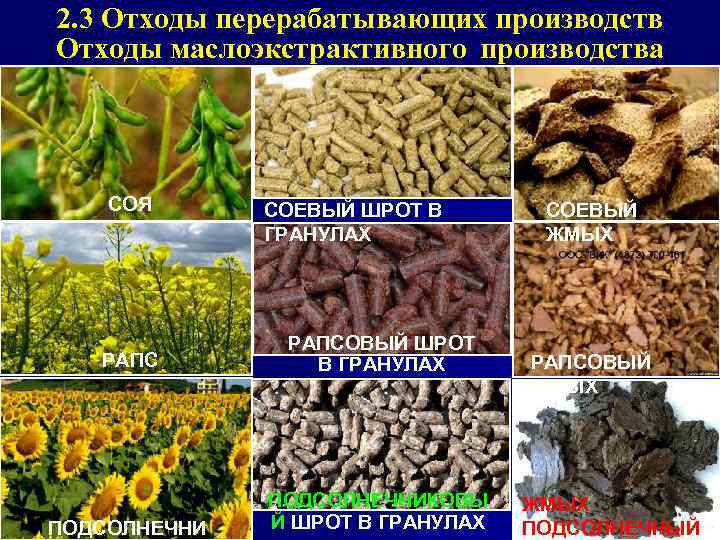 2. 3 Отходы перерабатывающих производств Отходы маслоэкстрактивного производства СОЯ СОЕВЫЙ ШРОТ В ГРАНУЛАХ РАПСОВЫЙ