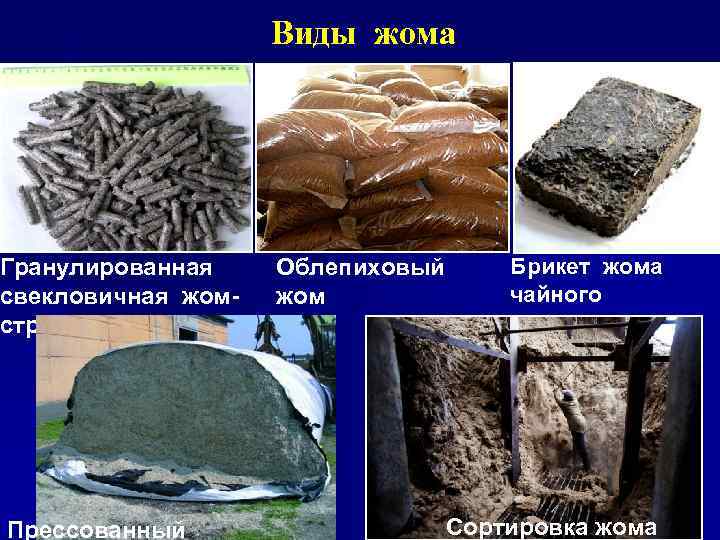 Виды жома Гранулированная свекловичная жомстружка Прессованный Облепиховый жом Брикет жома чайного Сортировка жома 
