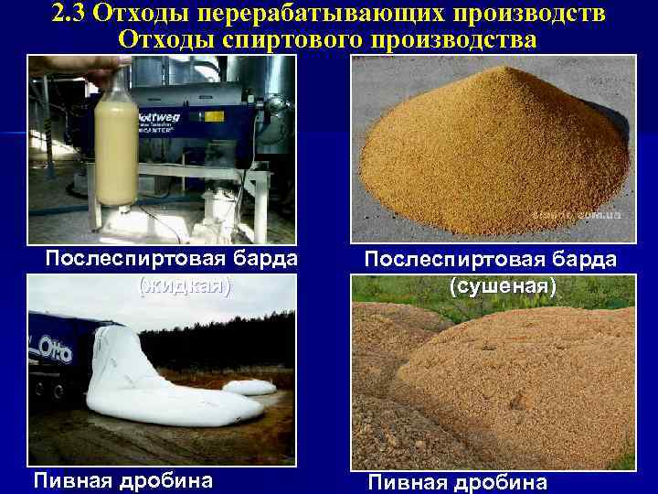 2. 3 Отходы перерабатывающих производств Отходы спиртового производства Послеспиртовая барда (жидкая) Пивная дробина Послеспиртовая