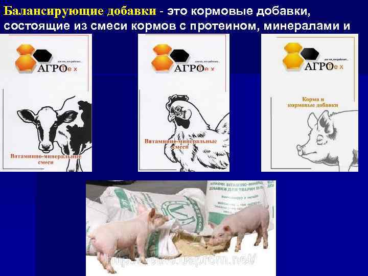 Балансирующие добавки - это кормовые добавки, состоящие из смеси кормов с протеином, минералами и
