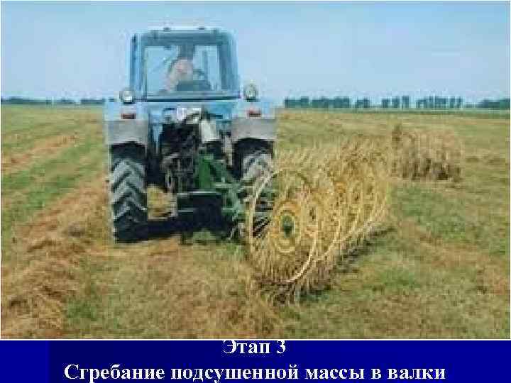 Этап 3 Сгребание подсушенной массы в валки 