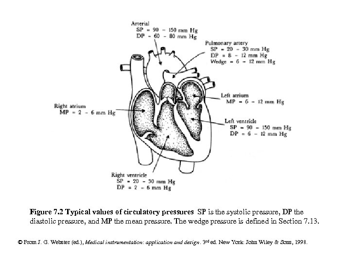 Figure 7. 2 Typical values of circulatory pressures SP is the systolic pressure, DP