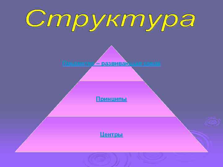 Предметно – развивающая среда Принципы Центры 