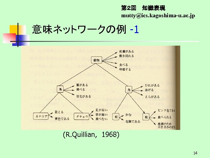 第２回　 知識表現 mutty@ics. kagoshima-u. ac. jp 意味ネットワークの例 -1　 　 (R. Quillian, 1968) 　 14