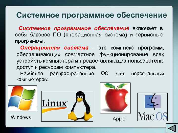 Системное программное обеспечение включает в себя базовое ПО (операционная система) и сервисные программы. Операционная