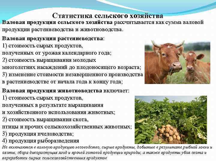 Статистика сельского хозяйства Валовая продукция сельского хозяйства рассчитывается как сумма валовой продукции растениеводства и