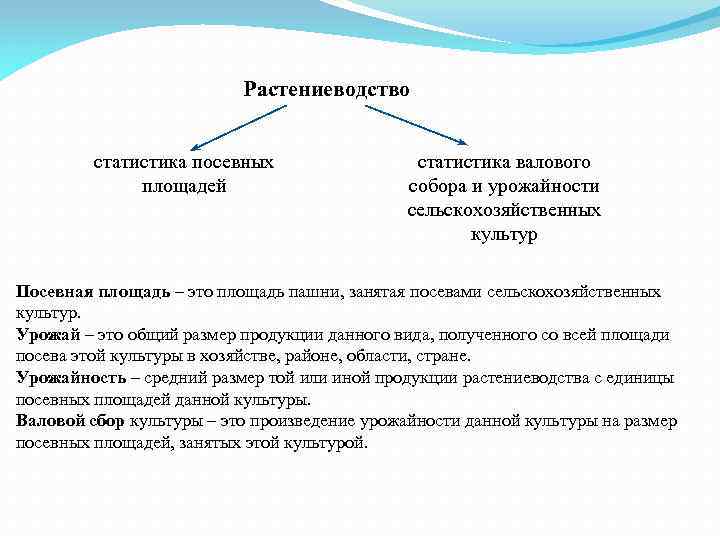 Растениеводство статистика посевных площадей статистика валового собора и урожайности сельскохозяйственных культур Посевная площадь –