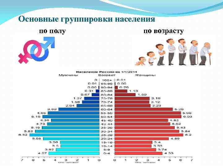 Основные группировки населения по полу по возрасту 