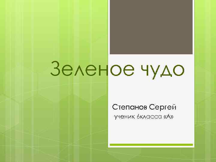 Зеленое чудо Степанов Сергей ученик 6 класса «А» 