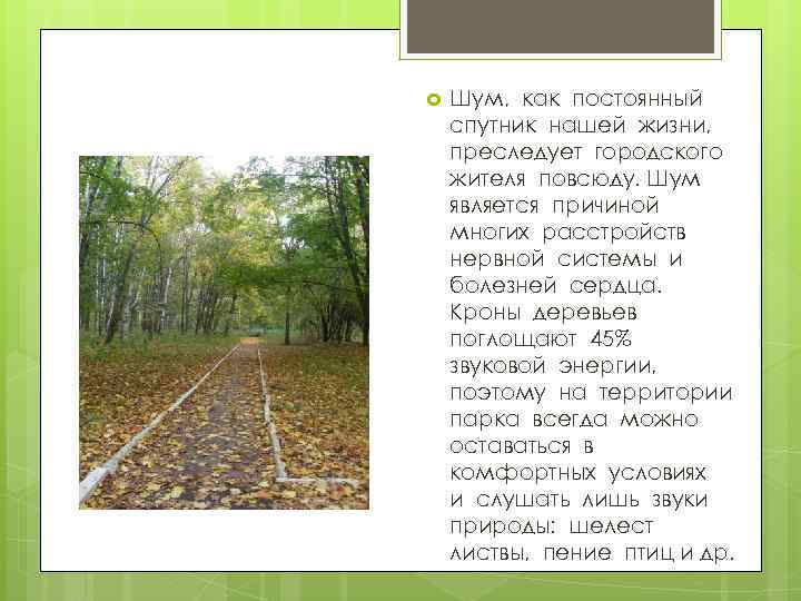  Шум, как постоянный спутник нашей жизни, преследует городского жителя повсюду. Шум является причиной