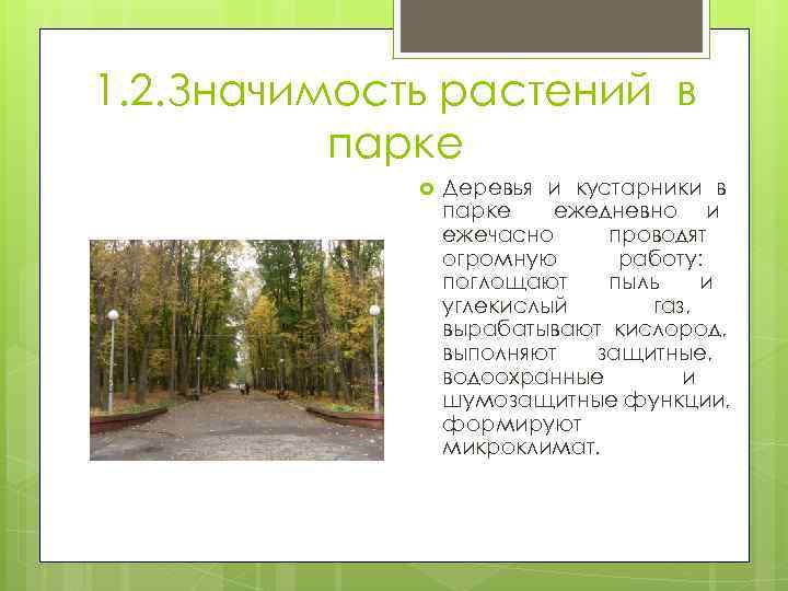 1. 2. Значимость растений в парке Деревья и кустарники в парке ежедневно и ежечасно