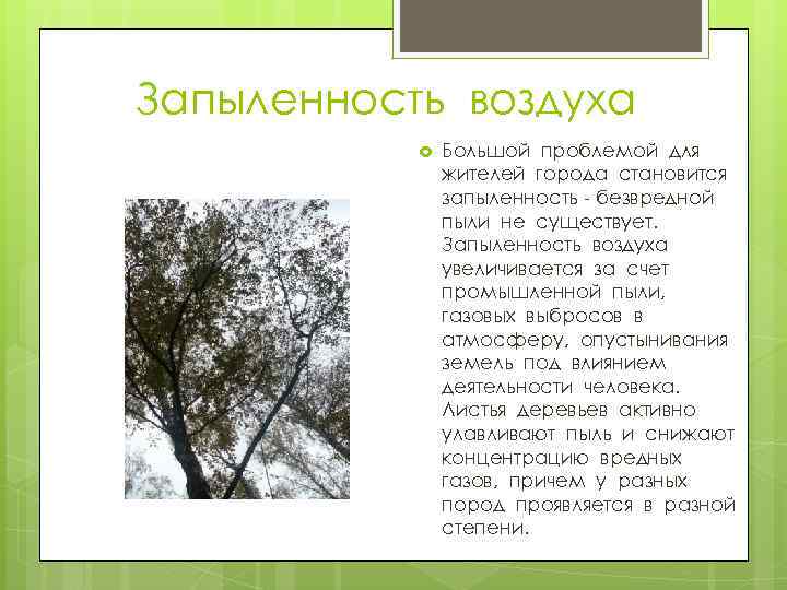 Запыленность воздуха Большой проблемой для жителей города становится запыленность - безвредной пыли не существует.