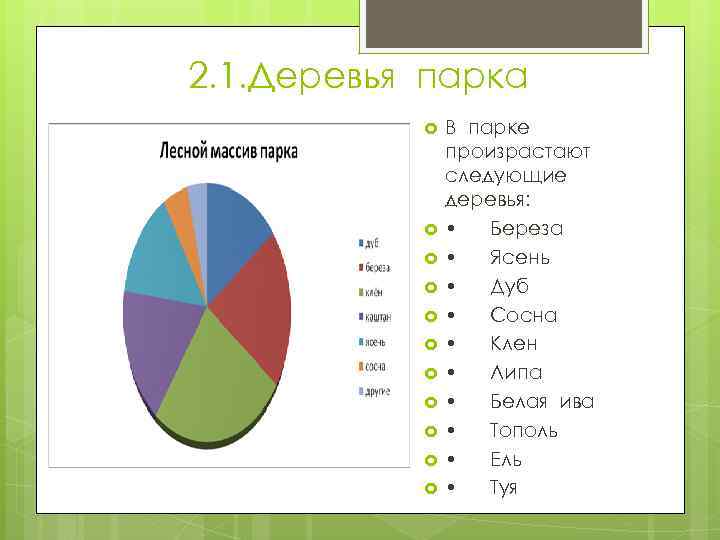 2. 1. Деревья парка В парке произрастают следующие деревья: • Береза • Ясень •