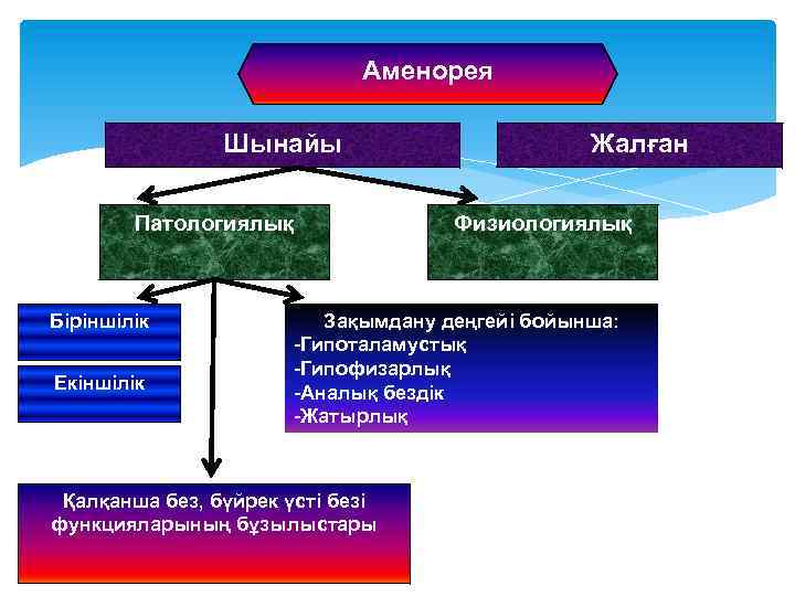 Аменорея Шынайы Патологиялық Біріншілік Екіншілік Жалған Физиологиялық Зақымдану деңгейі бойынша: -Гипоталамустық -Гипофизарлық -Аналық бездік