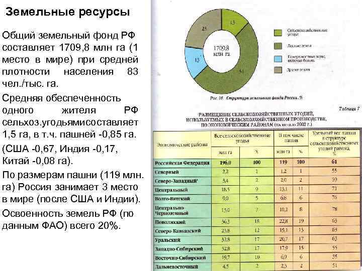 Земельные ресурсы Общий земельный фонд РФ составляет 1709, 8 млн га (1 место в