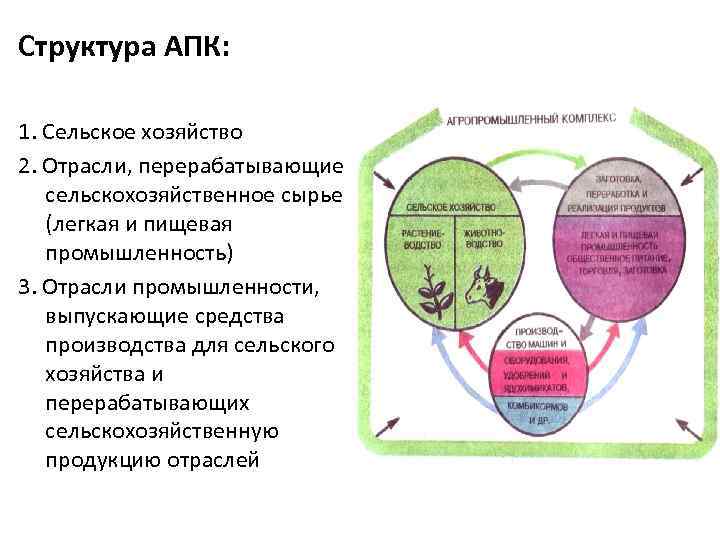 Структура АПК: 1. Сельское хозяйство 2. Отрасли, перерабатывающие сельскохозяйственное сырье (легкая и пищевая промышленность)