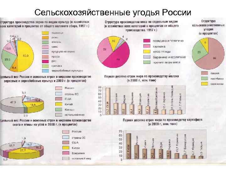 Сельскохозяйственные угодья России 