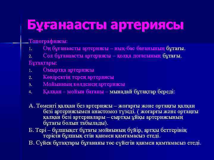 Бұғанаасты артериясы Топографиясы: 1. Оң бұғанаасты артериясы – иық-бас бағанының бұтағы. 2. Сол бұғанаасты