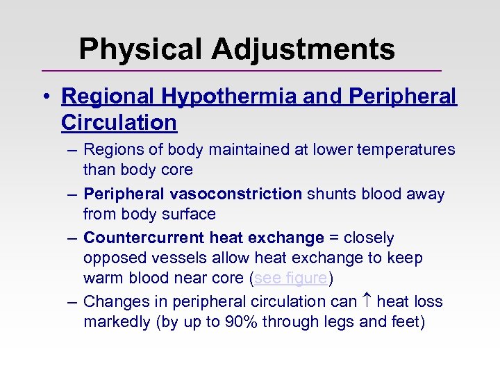 Physical Adjustments • Regional Hypothermia and Peripheral Circulation – Regions of body maintained at