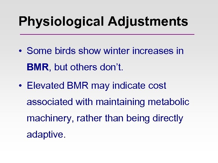 Physiological Adjustments • Some birds show winter increases in BMR, but others don’t. •