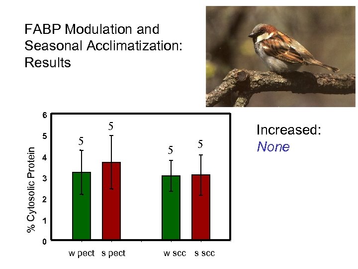 FABP Modulation and Seasonal Acclimatization: Results 6 % Cytosolic Protein 5 5 5 4