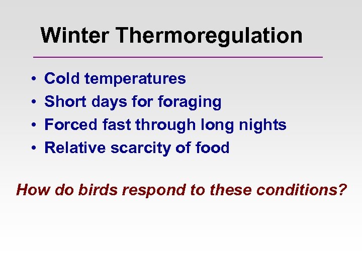 Winter Thermoregulation • • Cold temperatures Short days foraging Forced fast through long nights