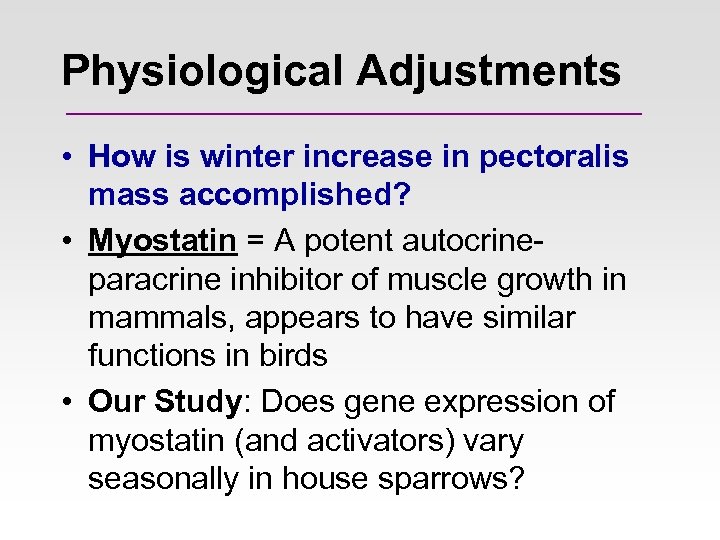 Physiological Adjustments • How is winter increase in pectoralis mass accomplished? • Myostatin =