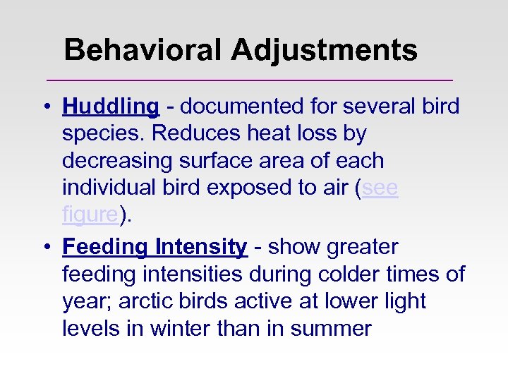 Behavioral Adjustments • Huddling - documented for several bird species. Reduces heat loss by