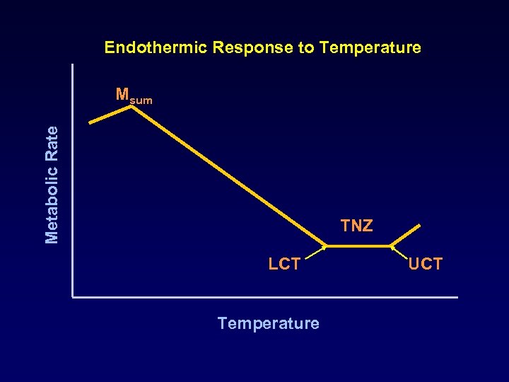 Endothermic Response to Temperature Metabolic Rate Msum TNZ LCT Temperature UCT 