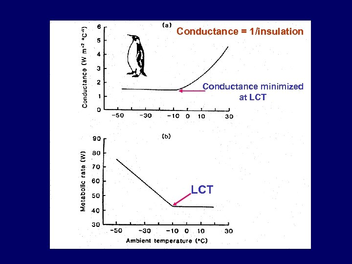 Conductance = 1/insulation Conductance minimized at LCT 